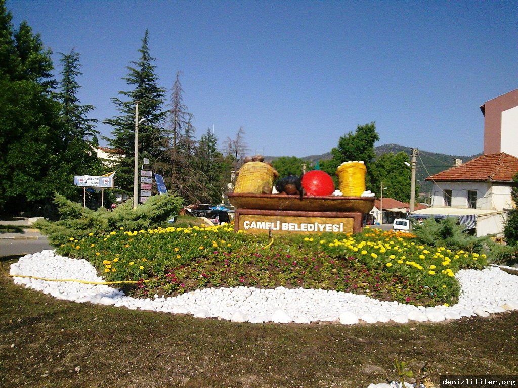 Çameli Fotoğrafı